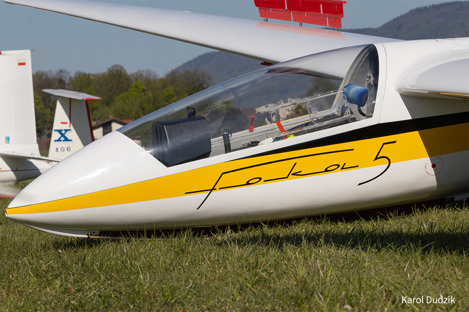 Szd-Allstar-Pzl-Glider-80th-Anniversary-Szd-Foka